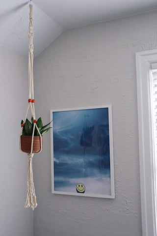 Macrame Beaded Plant Hanger