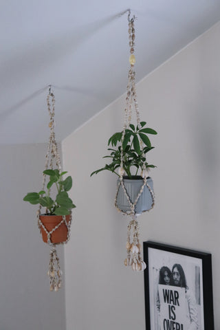 Set of Two Seashell Macrame Plant Hangers